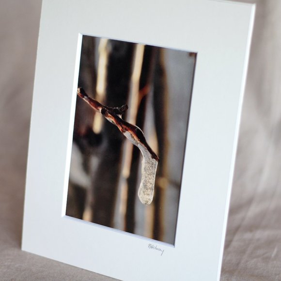 "Winter's Hold" 5x7 Original Photography Print - Picture 2 of 3